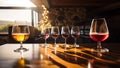 Tasting of different fortified wines in glasses at winery, restaurant or bar Royalty Free Stock Photo