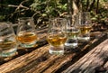 Tasting of different Scotch whiskies on outdoor terrace, dram of whiskey