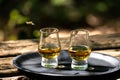 Tasting of different Scotch whiskies on outdoor terrace, dram of whiskey