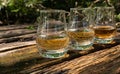 Tasting of different Scotch whiskies on outdoor terrace, dram of whiskey