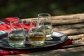 Tasting of different Scotch whiskies on outdoor terrace, dram of whiskey and red tartan