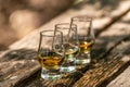 Tasting of different Scotch whiskies on outdoor terrace, dram of whiskey