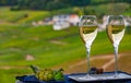 Tasting of french sparkling white wine with bubbles champagne on outdoor terrace with view on grand cru Champagne vineyards in