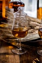 Tasting glasses with aged Scotch whisky or bourbon on old dark wooden vintage table with barley grains Royalty Free Stock Photo