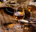 Tasting glasses with aged Scotch whisky or bourbon on old dark wooden vintage table with barley grains Royalty Free Stock Photo