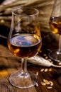 Tasting glasses with aged Scotch whisky or bourbon on old dark wooden vintage table with barley grains Royalty Free Stock Photo