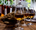 Tasting glasses with aged Scotch whisky or bourbon on old dark wooden vintage table with barley grains Royalty Free Stock Photo