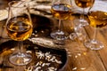 Tasting glasses with aged Scotch whisky or bourbon on old dark wooden vintage table with barley grains Royalty Free Stock Photo