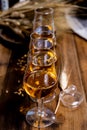 Tasting glasses with aged Scotch whisky or bourbon on old dark wooden vintage table with barley grains Royalty Free Stock Photo