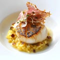 A tasting menu course featuring a seared scallop, served on a bed of saffron risotto, drizzled with Royalty Free Stock Photo