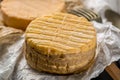 Tasting of oldest french AOC soft pudgent yellow cheese Livarot Royalty Free Stock Photo