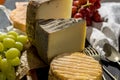 Tasting of oldest french AOC soft pudgent yellow cheese Livarot, Royalty Free Stock Photo