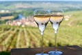 Tasting of premier cru sparkling white wine with bubbles champagne with view on green pinot noir, meunier vineyards of Hautvillers Royalty Free Stock Photo