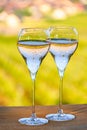 Tasting of premier cru sparkling white wine with bubbles champagne with view Royalty Free Stock Photo