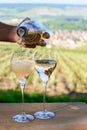 Tasting of premier cru sparkling white wine with bubbles champagne with view on green pinot noir, meunier vineyards of Hautvillers Royalty Free Stock Photo