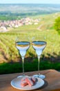 Tasting of premier cru sparkling white wine with bubbles champagne with view on green pinot noir, meunier vineyards of Hautvillers Royalty Free Stock Photo