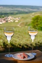 Tasting of premier cru sparkling white wine with bubbles champagne with view on green pinot noir, meunier vineyards of Hautvillers Royalty Free Stock Photo