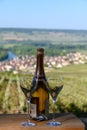 Tasting of premier cru sparkling white wine with bubbles champagne with view on green pinot noir, meunier vineyards of Hautvillers Royalty Free Stock Photo