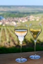 Tasting of premier cru sparkling white wine with bubbles champagne with view on green pinot noir, meunier vineyards of Hautvillers Royalty Free Stock Photo