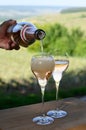 Tasting of premier cru sparkling white wine with bubbles champagne with view on green pinot noir, meunier vineyards of Hautvillers Royalty Free Stock Photo