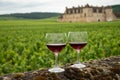 Tasting of red dry pinot noir wine in glass on premier and grand cru vineyards in Burgundy wine making region with chateau on