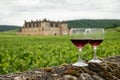 Tasting of red dry pinot noir wine in glass on premier and grand cru vineyards in Burgundy wine making region with chateau on