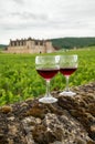 Tasting of red dry pinot noir wine in glass on premier and grand cru vineyards in Burgundy wine making region with chateau on