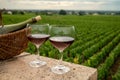 Tasting of red dry pinot noir wine in glass on premier and grand cru vineyards in Burgundy wine making region near Vosne-RomanÃÂ©e