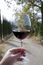 Tasting of red sangiovese wine with typical hilly vineyards and cypress tree on background near Montepulciano, Tuscany, Italy