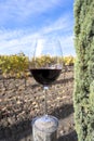 Tasting of red sangiovese wine with typical hilly vineyards and cypress tree on background near Montepulciano, Tuscany, Italy