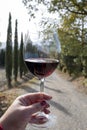 Tasting of red sangiovese wine with typical hilly vineyards and cypress tree on background near Montepulciano, Tuscany, Italy