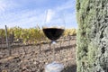 Tasting of red sangiovese wine with typical hilly vineyards and cypress tree on background near Montepulciano, Tuscany, Italy