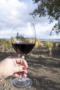 Tasting of red sangiovese wine with typical hilly vineyards and cypress tree on background near Montepulciano, Tuscany, Italy