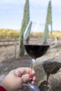 Tasting of red sangiovese wine with typical hilly vineyards and cypress tree on background near Montepulciano, Tuscany, Italy