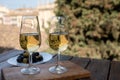 Tasting of Spanish sweet and dry fortified Vino de Jerez sherry wine and olives with view on roofs and houses of old andalusian Royalty Free Stock Photo