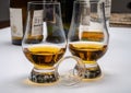 Tasting of whiskey, tulip-shaped tasting glasses with dram of Scotch single malt or blended whisky on white table