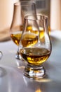 Tasting of whiskey, tulip-shaped tasting glasses with dram of Scotch single malt or blended whisky on white table