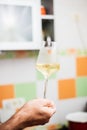 Tasting white wine Royalty Free Stock Photo