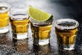 Tasty alcohol drink cocktail tequila with lime and salt on vibrant dark background. Closeup. Horizontal.