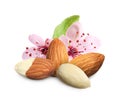 Tasty almonds, pink flowers and green leaf on white background Royalty Free Stock Photo