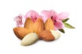 Tasty almonds, pink flowers and green leaves on white background Royalty Free Stock Photo