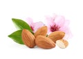 Tasty almonds, pink flowers and green leaves on white background Royalty Free Stock Photo