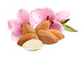 Tasty almonds, pink flowers and green leaves on white background Royalty Free Stock Photo