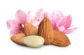 Tasty almonds and pink flowers on white background Royalty Free Stock Photo