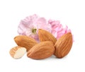 Tasty almonds and pink flowers on white background Royalty Free Stock Photo