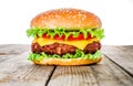 Tasty and appetizing hamburger cheeseburger Royalty Free Stock Photo