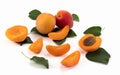 Tasty Apricots. Fresh Apricot fruits isolated on bright background, sliced and whole. Royalty Free Stock Photo