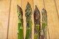 Tasty asparagus freshly picked from the home garden. Vegetables prepared in the home kitchen Royalty Free Stock Photo