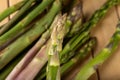 Tasty asparagus freshly picked from the home garden. Vegetables prepared in the home kitchen Royalty Free Stock Photo