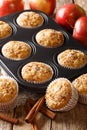 Tasty baked apple muffins with cinnamon close-up in a tray. vertical